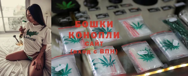 PSILOCYBIN Абинск