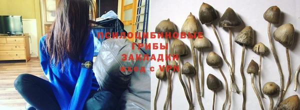PSILOCYBIN Абинск