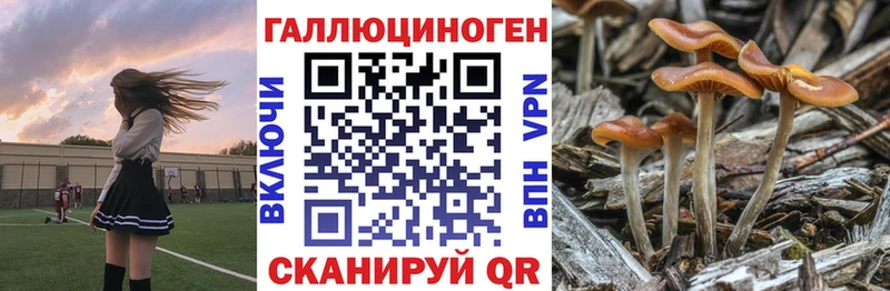 omg как зайти Алексин Псилоцибиновые грибы прущие грибы