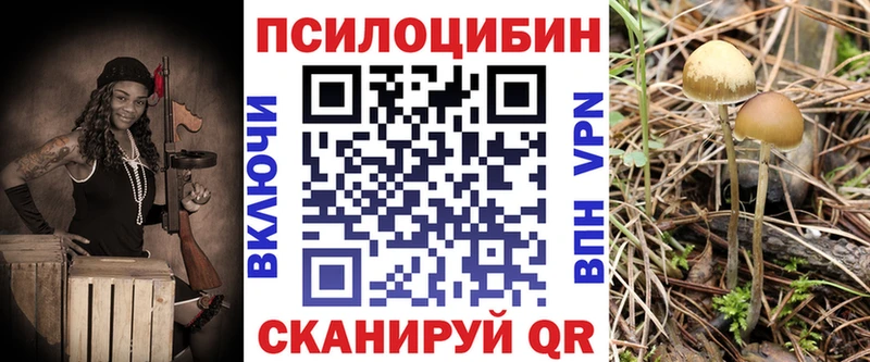 Псилоцибиновые грибы ЛСД Алексин