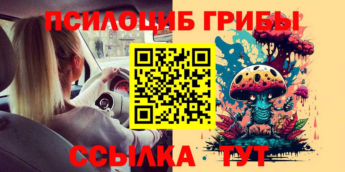 Псилоцибиновые грибы Cubensis Алексин