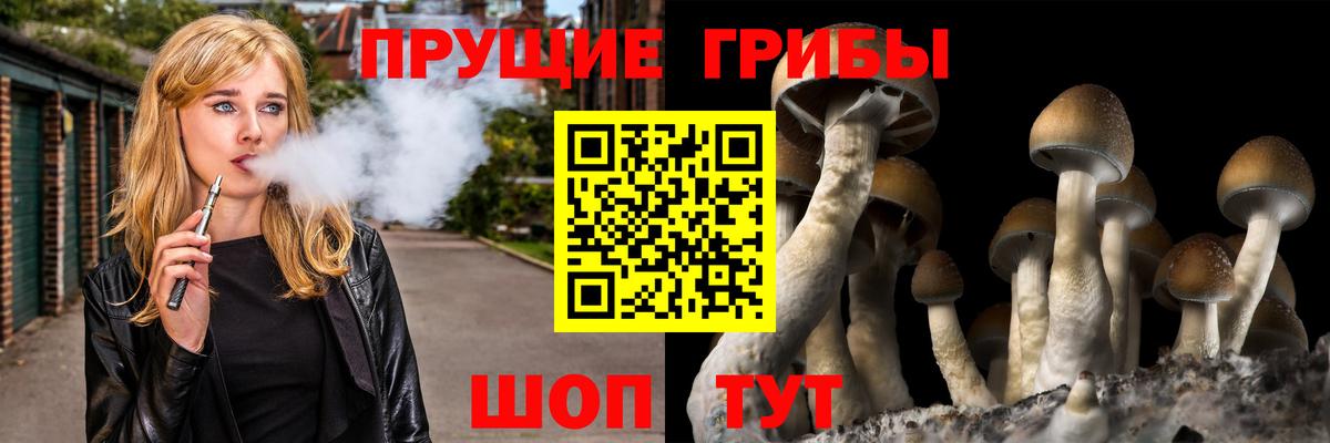 Псилоцибиновые грибы мухоморы  Вход с VPN  Галлюциногенные грибы Magic Shrooms  Алексин 
